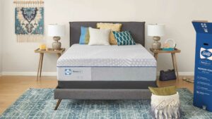 Sealy Mattress Roswell